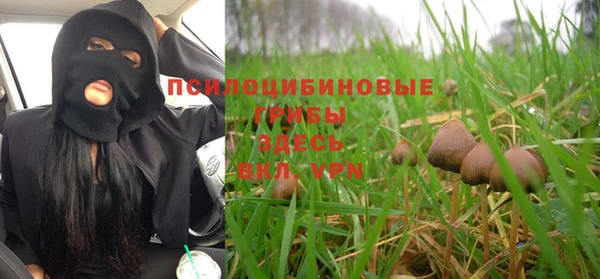 мяу мяу мука Ладушкин